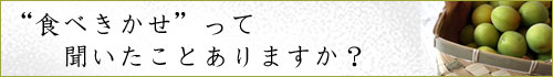 食べきかせとは?